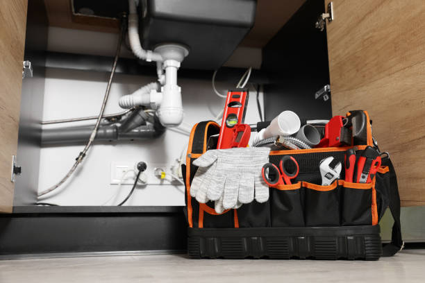 Best Emergency Plumber  in Bear Valley Springs, CA