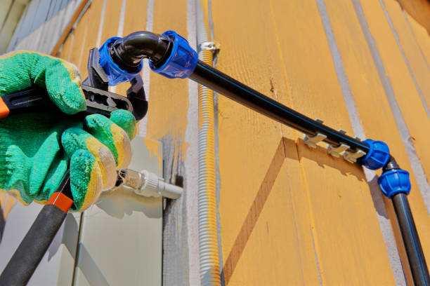 Best Sewer Line Repair  in Bear Valley Springs, CA